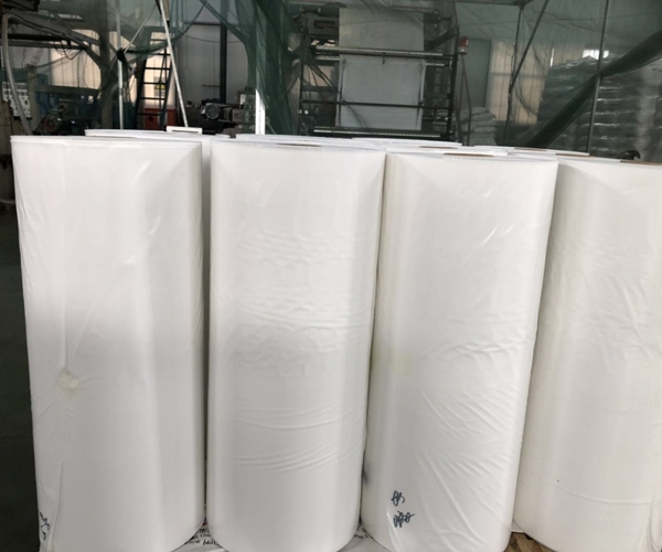 塑料包裝產業有了新的發展動向，發展速度更快
